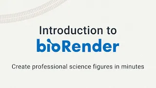 Introduction to BioRender
