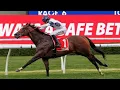 CAN THE AUSSIES WIN Royal Ascot - Day 1 2026 Tips