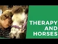 BallyWho Episode 2 Therapy with Horses For People With Disabilities