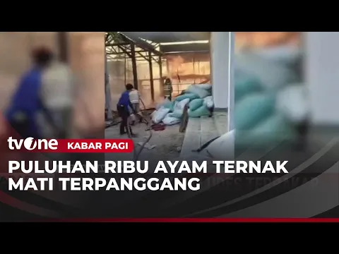 Kebakaran Hanguskan Kandang Berisi Puluhan Ribu Ayam di Magetan