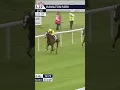 Download Lagu SALLAAL - Frankel x Nahrain 🚀 #horse #horseracing #sport #britishhorseracing #racingtv