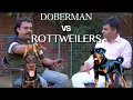 Doberman vs Rottweiler Which Breed Is Better For Home Protection