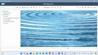 SAP TOOL UPDATE Installing and Upgrading Add-Ons