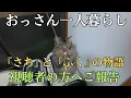 Download Lagu 視聴者の方へ今後についてご報告があります
