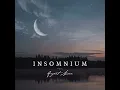 INSOMNIUM - The Wanderer