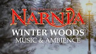 Chronicles of Narnia Peaceful Winter Woods Music Ambience in 4K