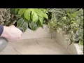 SCALLOP NATURAL EDGING