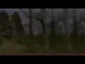 Library Tapes - Fragment II