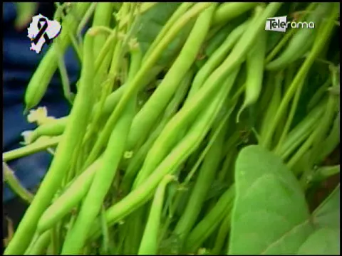 Ecuador Agropecuario 20-04-2018