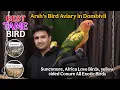 Download Lagu Best Tame Exotic Birds Arsh bird Aviary in Dombivali #exotic #birds #sunconure #birdlovers