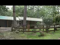 Eastern OK Recreational House 1 74 Acres for Sale - Surrounded by Forrest WMA a Cedar Lake