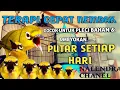 Download Lagu Terapi pleci Cepat nembak Paling Ampuh, menaikan Mental Agar Lebih Ngotot