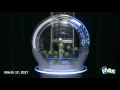 Lotto Max Draw March 17 2017