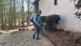Pine straw installation with