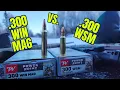 300 Winchester Mag vs 300 Winchester Short Magnum with 180gr Winchester Power-point Ammunition