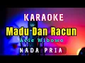 Download Lagu MADU DAN RACUN || ARIE WIBOWO || KARAOKE || BILL \u0026 BROD || NADA PRIA [CIS = DO]