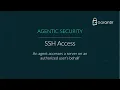 SSH Server Access by an AI Agent