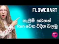 How to Run Flow chart with Flowgorithm Software
