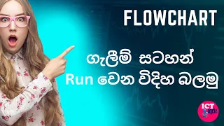 How to Run Flow chart with Flowgorithm Software