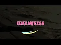 EDELWEISS LULLABY! Best Baby RELAX, CALM, SLEEP. Handcrafted Lullabies! Stop the crying! Over 30min!