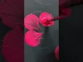 Florals