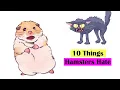 10 Things Hamsters Hate