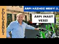 Download Lagu ÁRPI MEGVENNÉ AZ EGÉSZET -EGYBEN! A KASTÉLY KINCSEITŐL MUNKÁCSY PORTRÉJÁN ÁT A KÁLYHÁKIG! Polgarnet