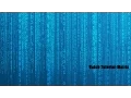Batch Tutorial Matrix