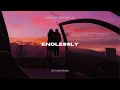 CAMELPHAT & Nadia Ali - Endlessly (DEVANK REMIX)