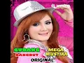 Racun Asmara