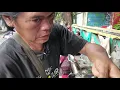 Download Lagu Update selasa 24 juni 2025 || kaca mata riben, gunting behel,handycam, dll || pasar loak manggarai