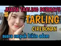 Lagu SWARA MERDU TARLING CIREBONAN_JUARA TARLING BIKIN ADEM