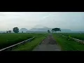 Download Lagu Pala Pilih Tebu Bag  II (Tarling Cerbon - Dermayu)