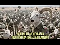 Download Lagu VIRAAL‼️ 1000 ISRAËLISCHE ELITETROEPEN VERANDERD IN GEITEN, DE WERELD IS GESCHOKT!