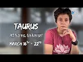 TAURUS - All Yours Universe MARCH 16TH
