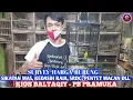 SURVEY HARGA BURUNG SIKATAN MAS, KEDASIH RAJA, SRDC, CAK RANTING DLL. KIOS BALTAQIY, PB PRAMUKA