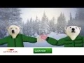 Autoglass polar bear song - Cold weather cracks chips