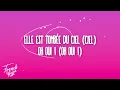 GIMS - CIEL