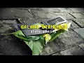 Download Lagu Plato Ginting - Galari Utangndu (Lirik)