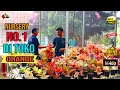 Nursery No.1 Di Toko Orange❗Pilihan Jenis Dan Pilihan Harga Banyak ❗