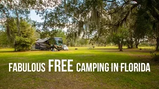 Fantastic, Free Camping in Florida