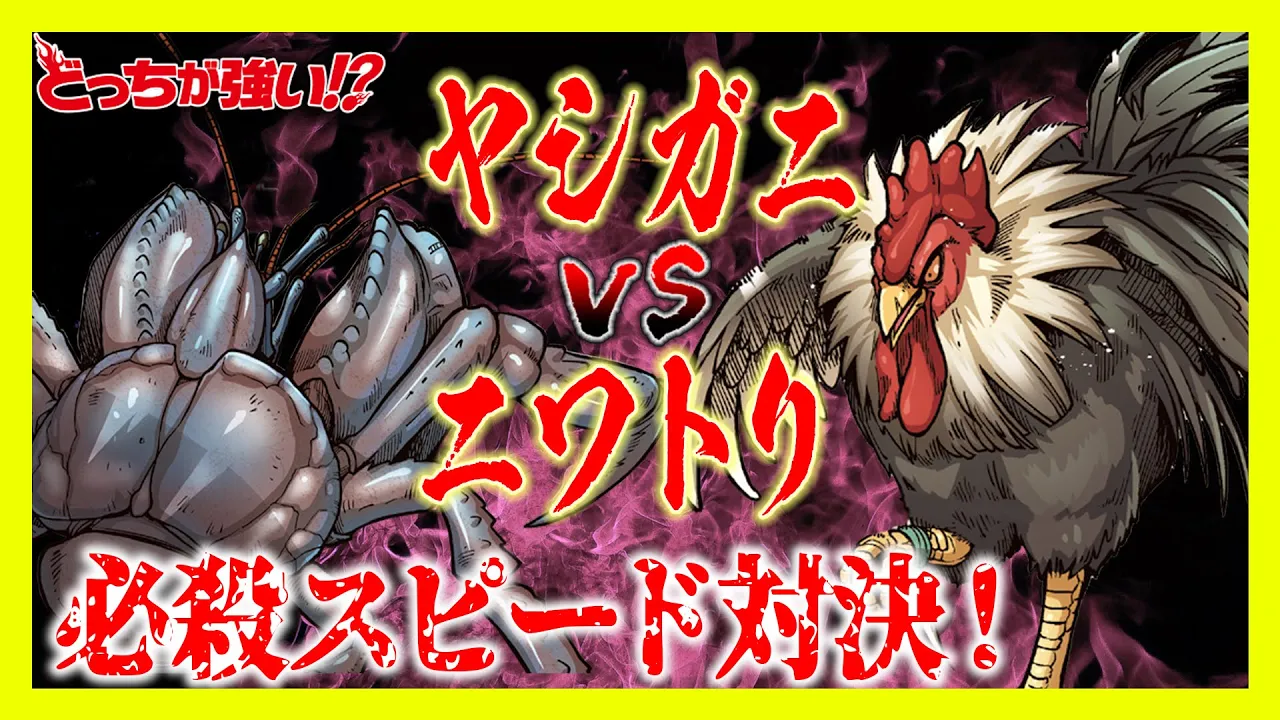【どっちが強い】ヤシガニとニワトリが對決!必殺スピード對決!勝つのはどっちだ!?【漫畫】