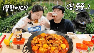 시골 텃밭에서 수확한 대왕 수박🍉 닭볶음탕 먹방🍗ㅣ위글위글,전원주택,주방템,양념통
