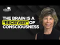 Neuroscience Synchronicities the Evidence for a Playful Universe Dr Marjorie Woollacott