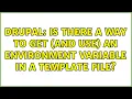 Drupal Is there a way to get and use an environment variable in a template file