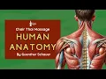 Thai Chair Massage Anatomy Module Online Course