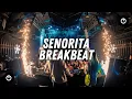 Lagu Dj Senorita Breakbeat