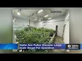 Santa Ana Police Discover Large-Scale Illegal Pot Operation