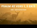 Psalm 42 vers 1 3 en 5 met bovenstem - Maar de Heer zal uitkomst geven