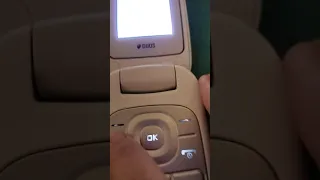 Samsung GT E1272 Incoming Call 